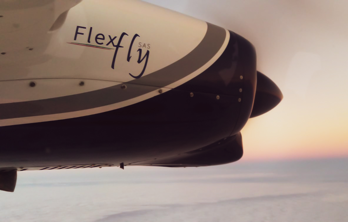Tecnam P2012 Traveller. FlexFly.