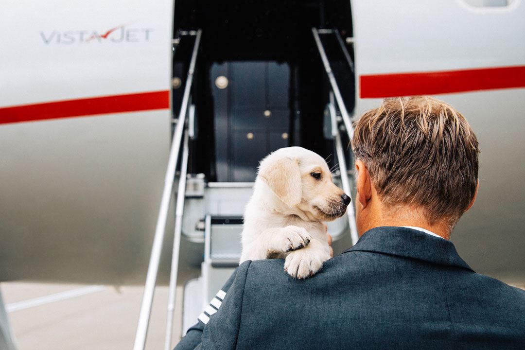Vistajet. Pet onboard. Foto: Vistajet.