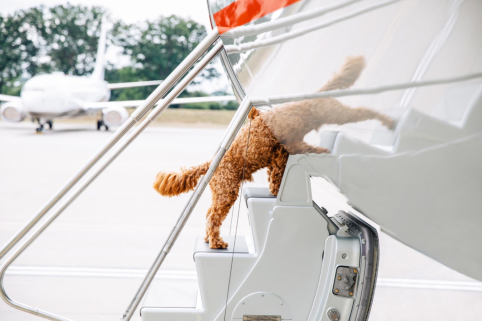 Vistajet