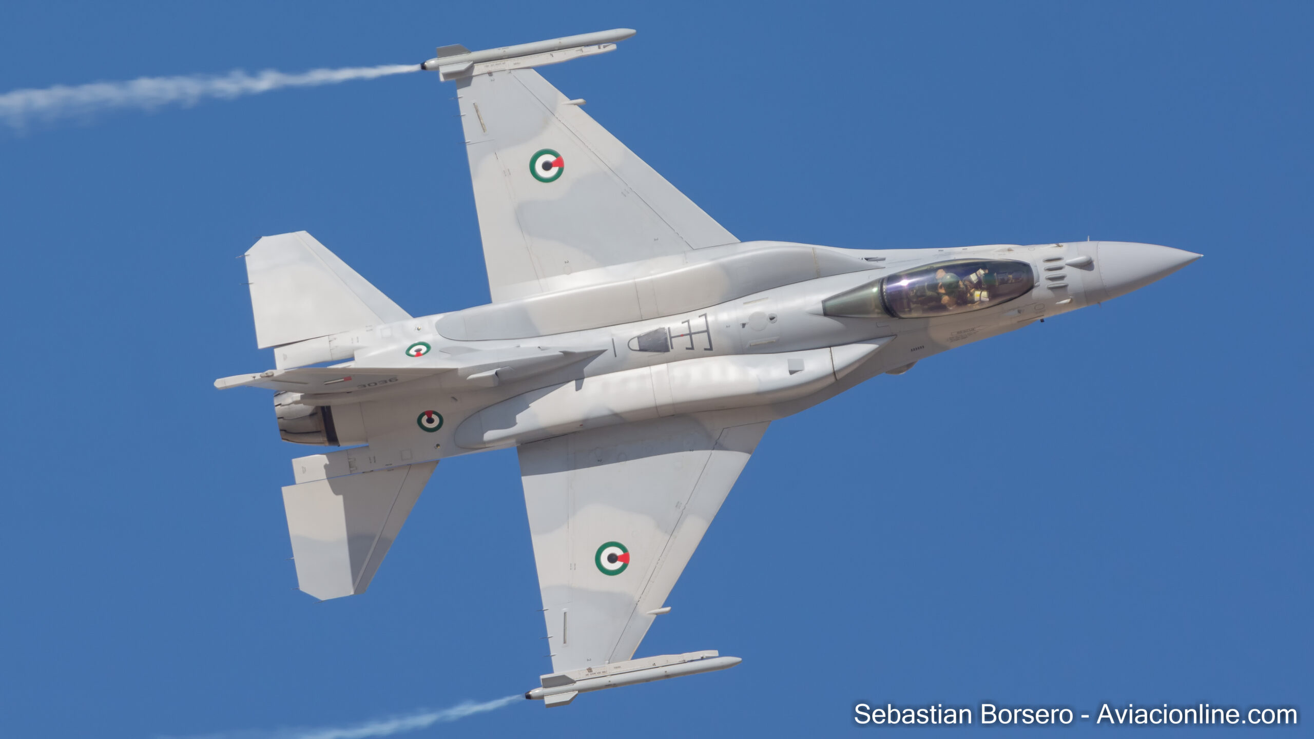 F-16 Block 60 Emiratos Árabes Unidos (1 de 1)-11