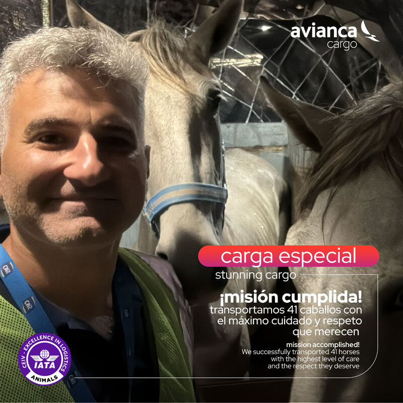 avianca cargo. Caballos