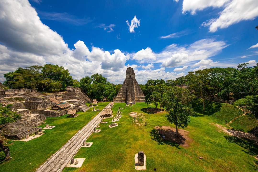 Guatemala-Wingo
