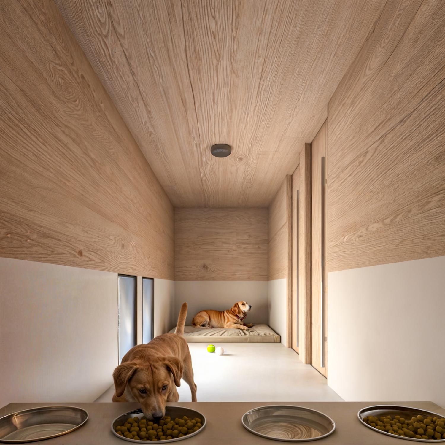 Hotel para perros - Aeropuerto de Roma