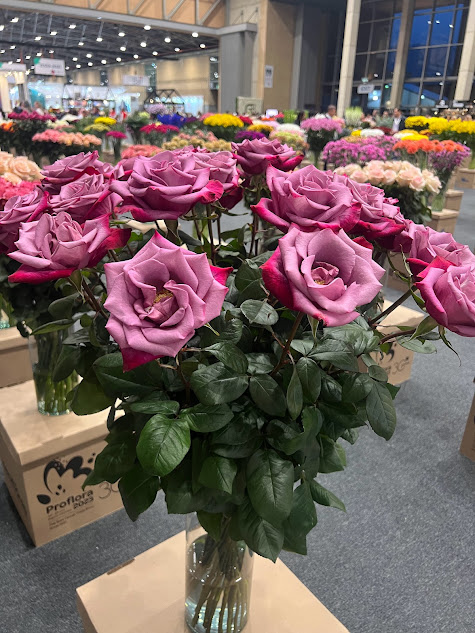 Proflora